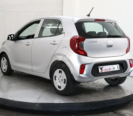  Kia Picanto 1.0 l 67 Motion 2023 год