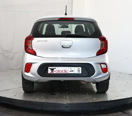 Kia Picanto 1.0 l 67 Motion 2023 год Kia Picanto 1.0 l 67 Motion 2023 год