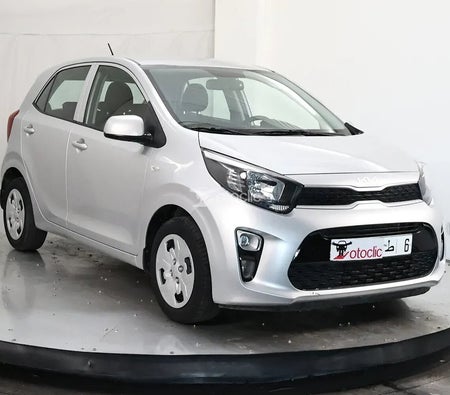  Kia Picanto 1.0 l 67 Motion 2023 год