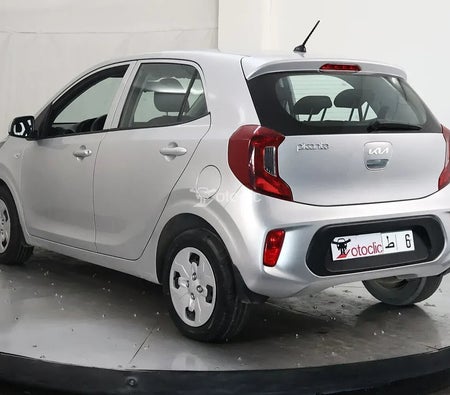  Kia Picanto 1.0 l 67 Motion 2023