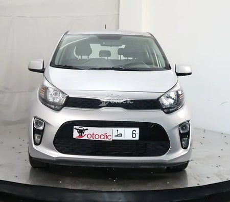 Kia Picanto 1.0 l 67 Motion 2023 год Kia Picanto 1.0 l 67 Motion 2023 год