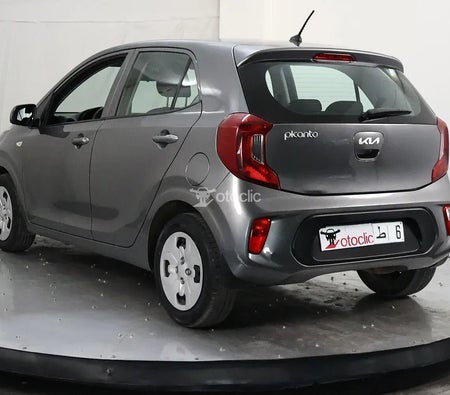  Kia Picanto 1.0 l 67 Motion 2023 год