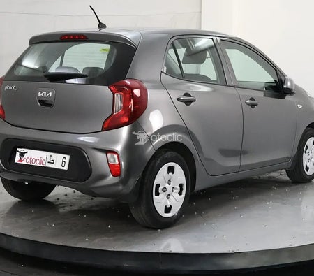 Kia Picanto 1.0 l 67 Motion 2023 год Kia Picanto 1.0 l 67 Motion 2023 год