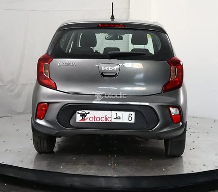  Kia Picanto 1.0 l 67 Motion 2023 год