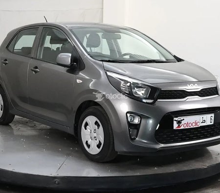  Kia Picanto 1.0 l 67 Motion 2023 год