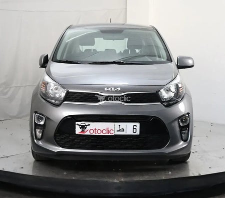 Kia Picanto 1.0 l 67 Motion 2023 год Kia Picanto 1.0 l 67 Motion 2023 год