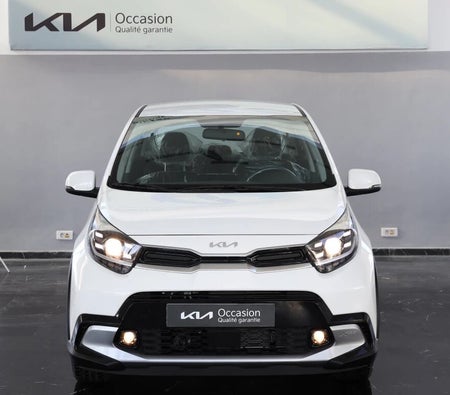 白色的 起亚 Picanto 1.0L MPI X Line BVA 67ch 2023