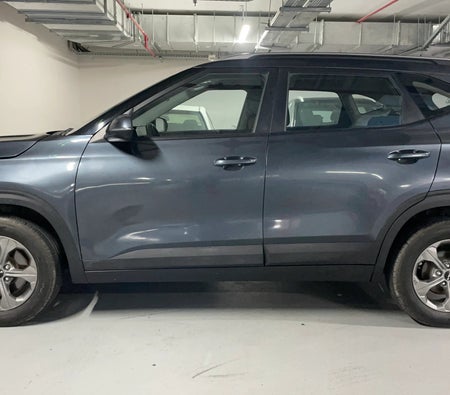 Grijs Kia Seltos LX 2023 Grijs Kia Seltos LX 2023