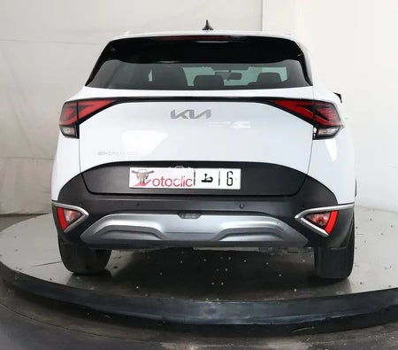  Kia Sportage 1.6 CRDi 136 DCT Design 2024
