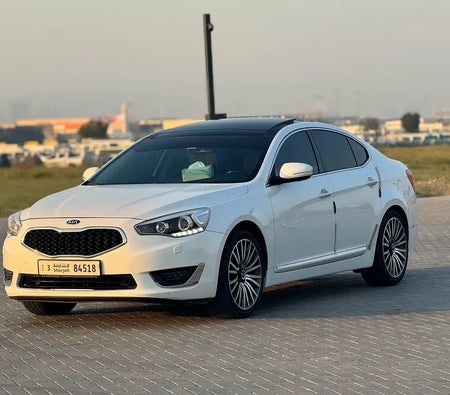Beyaz Kia Cadenza Platinum 2015 Beyaz Kia Cadenza Platinum 2015