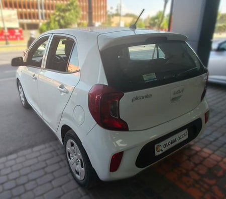Blanco Kia Picanto 1.0 Motion 2024 Blanco Kia Picanto 1.0 Motion 2024