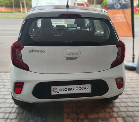 Blanco Kia Picanto 1.0 Motion 2024 Blanco Kia Picanto 1.0 Motion 2024