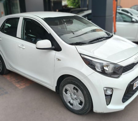 Blanco Kia Picanto 1.0 Motion 2024 Blanco Kia Picanto 1.0 Motion 2024
