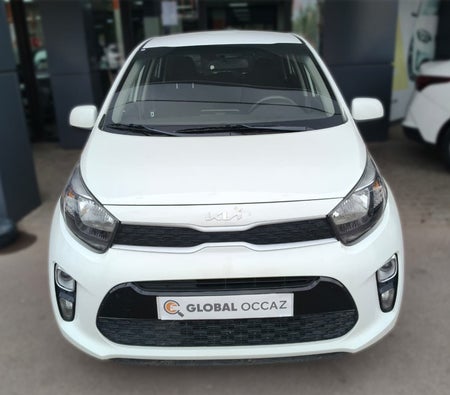 Blanco Kia Picanto 1.0 Motion 2024 Blanco Kia Picanto 1.0 Motion 2024
