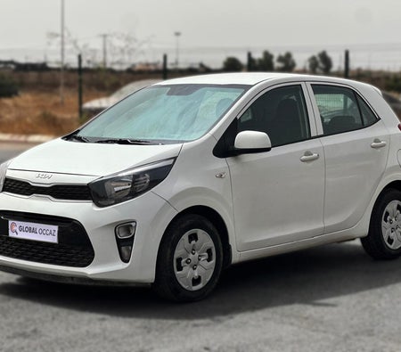 Blanco Kia Picanto 1.0 Motion 2023 Blanco Kia Picanto 1.0 Motion 2023