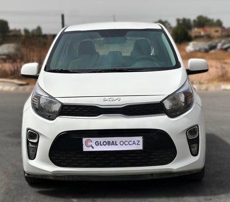 Blanco Kia Picanto 1.0 Motion 2023 Blanco Kia Picanto 1.0 Motion 2023