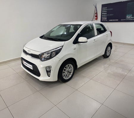 White Kia Picanto 2022