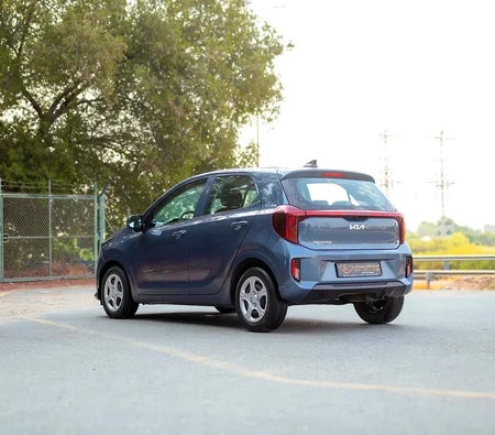 Blue Kia Picanto LX 2024