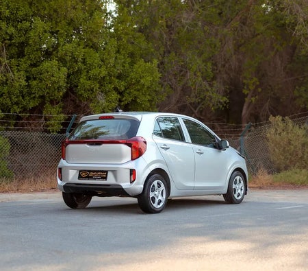 Silver Kia Picanto LX 2024