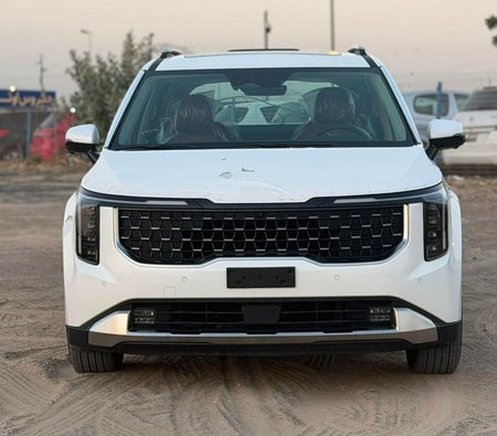 Kia Carnival 2026, photo 4 of 4