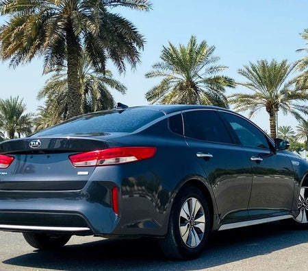 Kia Optima EX Top 2017, photo 4 of 4