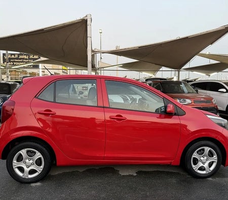 Red Kia Picanto Base 2019
