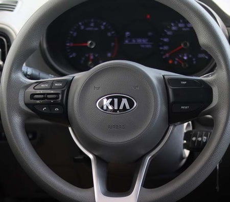 White Kia Picanto 2020