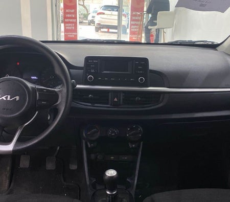 White Kia Picanto 2022