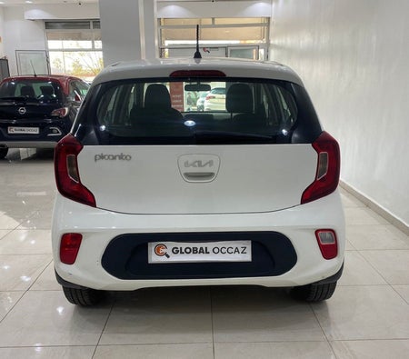 White Kia Picanto 2022