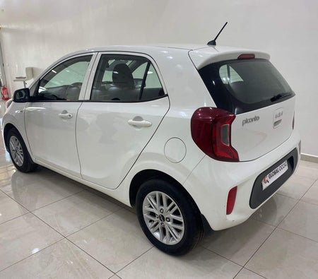 White Kia Picanto 2022