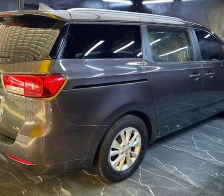 Kia Sedona LX 2016, photo 3 of 4