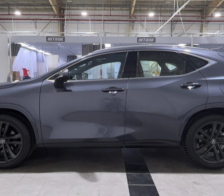 Grau Lexus NX 350 PREMIER 2025 Grau Lexus NX 350 PREMIER 2025