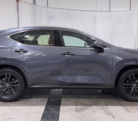 Grau Lexus NX 350 PREMIER 2025 Grau Lexus NX 350 PREMIER 2025
