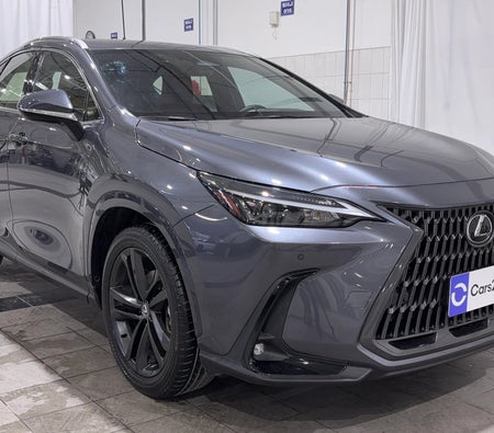 Grau Lexus NX 350 PREMIER 2025 Grau Lexus NX 350 PREMIER 2025