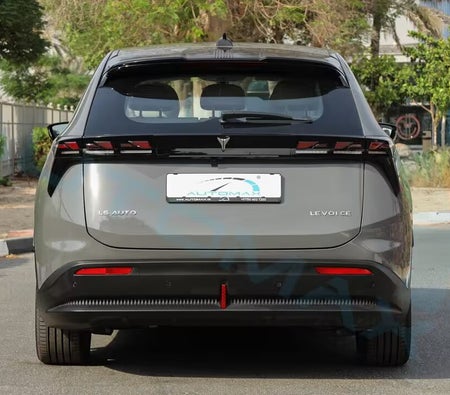  LS Auto LEV 01 CE 2024