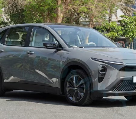  LS Auto LEV 01 CE 2024