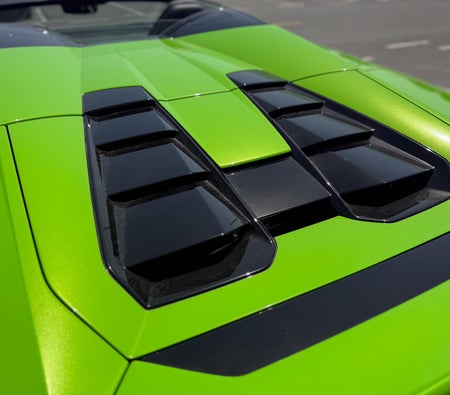 Lamborghini Huracan Evo Spyder 2024