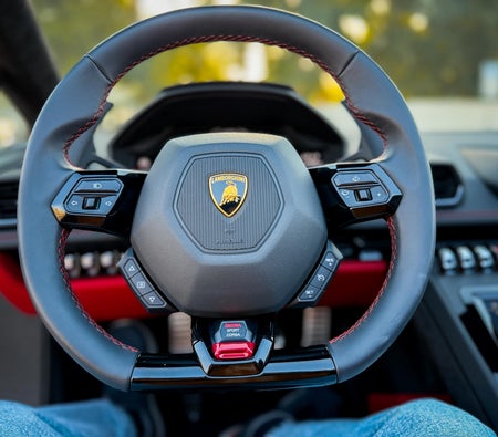 Lamborghini Huracan Evo Spyder 2024