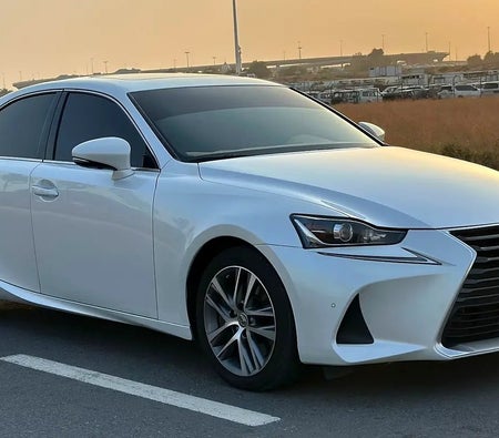 Blanc Lexus IS-Series 2019 Blanc Lexus IS-Series 2019