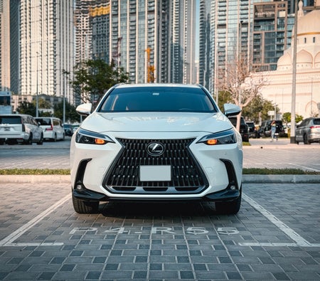Lexus NX 300 2025