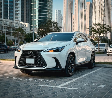 Lexus NX 300 2025