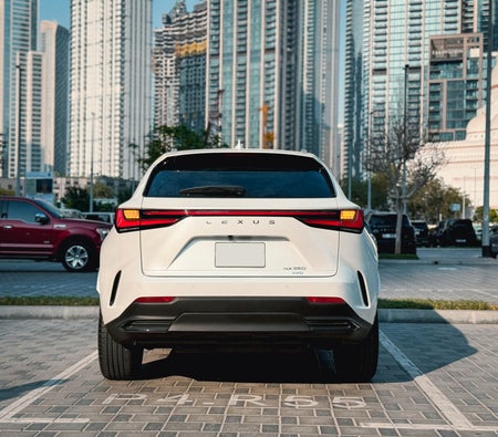 Lexus NX 300 2025