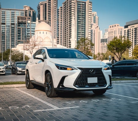 Lexus NX 300 2025