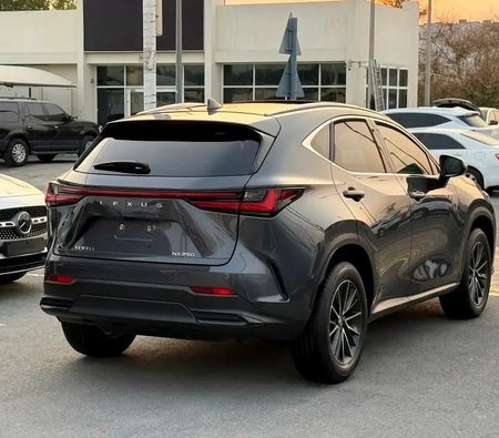 Grau Lexus NX 250 Premium 2025