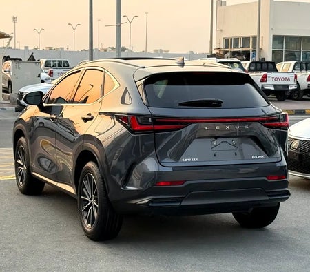 Grau Lexus NX 250 Premium 2025