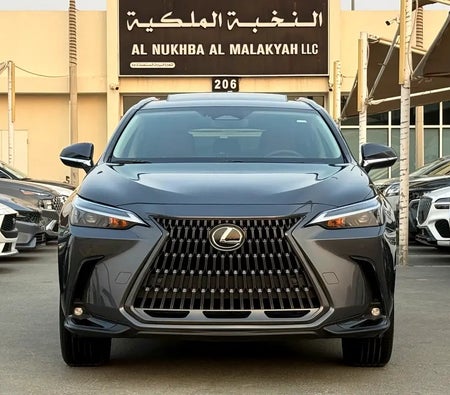 Grau Lexus NX 250 Premium 2025