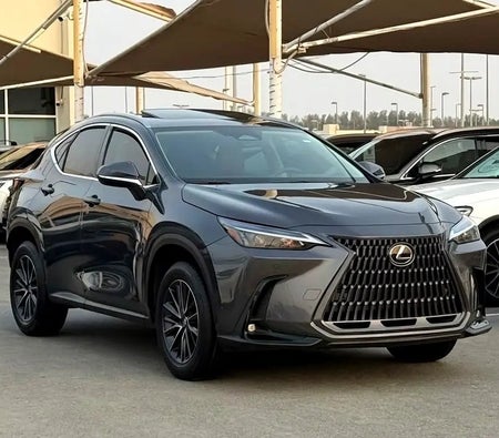 Grau Lexus NX 250 Premium 2025 Grau Lexus NX 250 Premium 2025