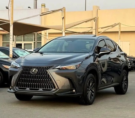 Grau Lexus NX 250 Premium 2025 Grau Lexus NX 250 Premium 2025