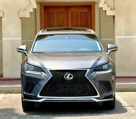 Grau Lexus NX 300 2018 Grau Lexus NX 300 2018