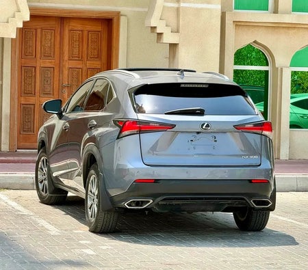 Gray Lexus NX 300 2018